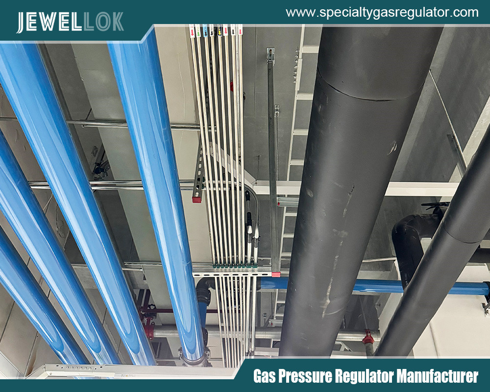Stainless Steel High Purity Two Stage Specialty Regulator