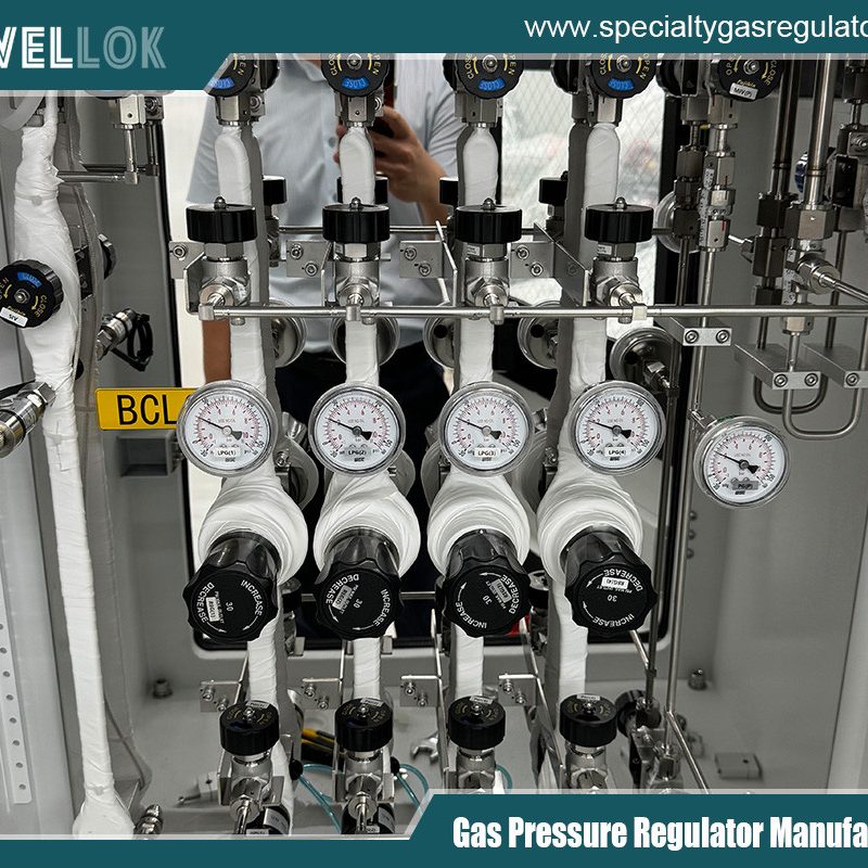 High Flow Ultra High Purity Gas Pressure Regulators