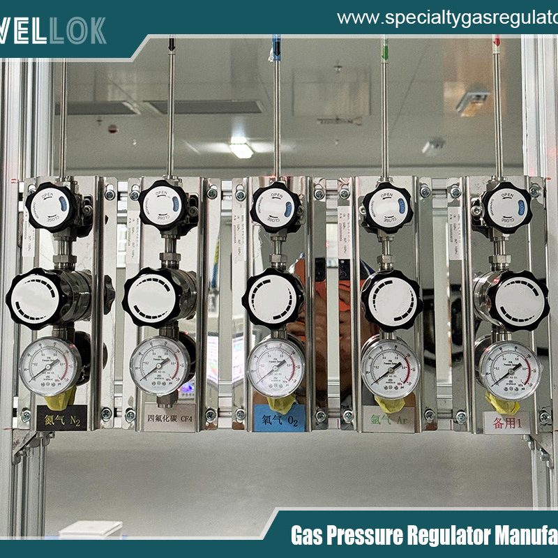 Stainless Steel High Purity Two Stage Specialty Regulator