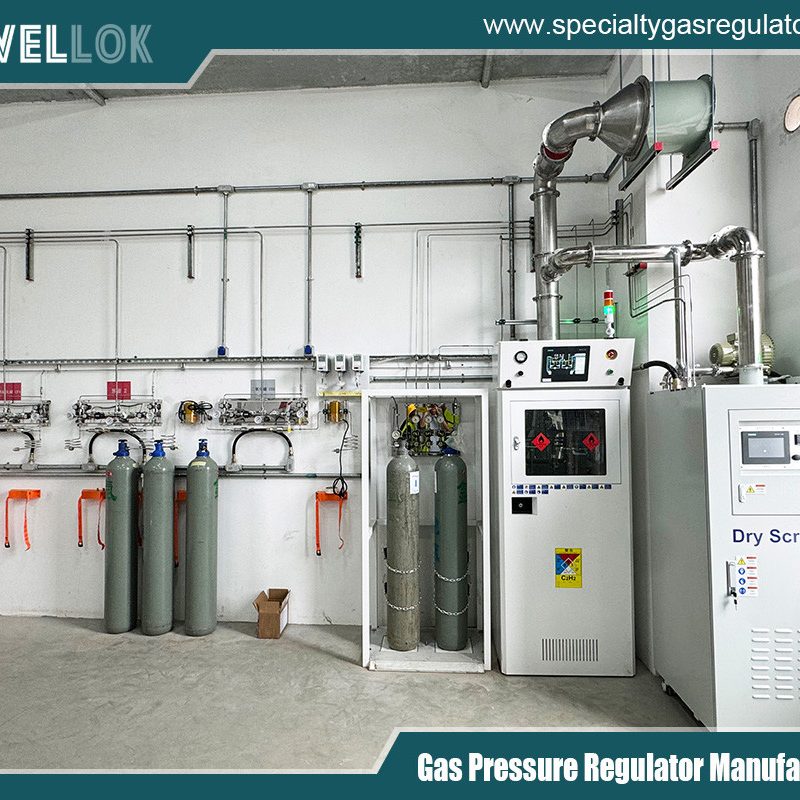 Stainless Steel High Purity Two Stage Specialty Regulator